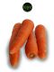 Carrot [ 1kg ]