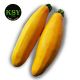 Zucchini Yellow [ 1.2kg ] 