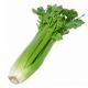Celery [ 1kg ]