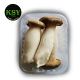 Mushroom King Oyster [ 200gm ]