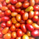 Tomato Cherry Malaysia  [ 300gm ]