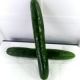 Cucumber Japanese [ 600gm ]