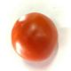 Tomato [ 600gm  ]