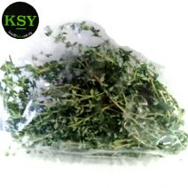 Thyme [ 50gm ]