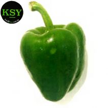 Capsicum Green [ 700gm ]