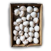 Mushroom White Button [ 500gm ]