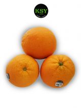 Orange Navel Large [ Pack of 5 ]