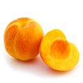 Apricot