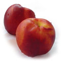 Nectarine