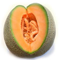 Rockmelon